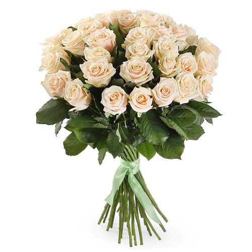 Купить 25 кремовых роз с доставкой по Домодедово Аэропорту